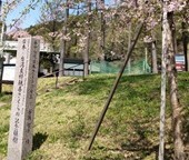 ２００１台湾友好親善桜植樹記念碑