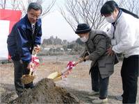 宮崎県日南市植樹