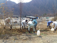 地元の方々による植樹&lt;br /&gt;
（「道の駅」八ッ場ふるさと館ホームページより転載）