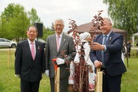 【日本の育桜会の援助でクルクレイの桜公園が大きくなっています】アニークシャイ市広報