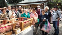 川越氷川神社で